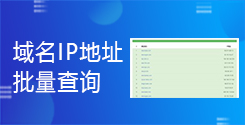 域名IP地址批量查詢_在線批量查詢網(wǎng)站IP地址_超級蜘蛛池