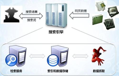 搜索引擎蜘蛛抓取策略，如何吸引更多蜘蛛