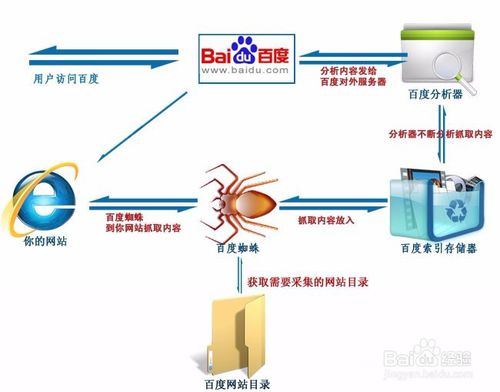 搜索引擎蜘蛛抓取策略，如何吸引更多蜘蛛