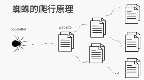 探秘搜索引擎蜘蛛的抓取規律，外鏈是否有時效性